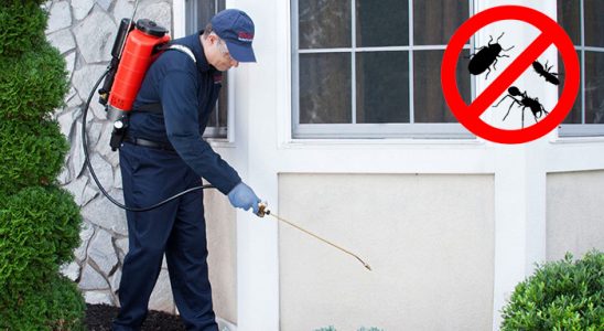 Mezitli Kene İlaçlama böcek ilaçlama ve haşere kontrolü — ilaclama-tr.com